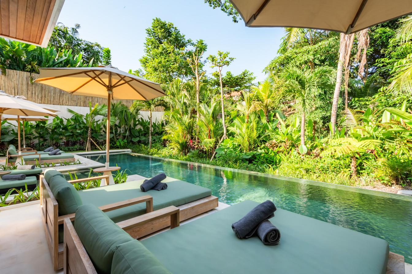 Jade pool framed by jungle
